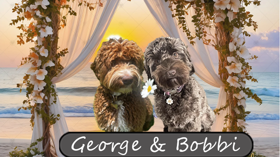 Bobbi-and-George-on-the-beach